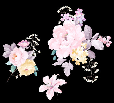 花小清新