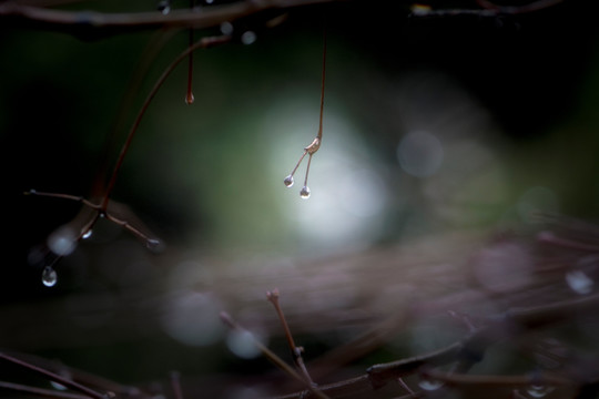 水滴