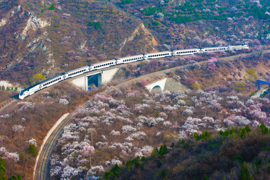 花海列车