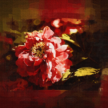 牡丹花油畫
