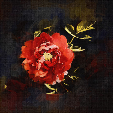 牡丹花油畫(huà)