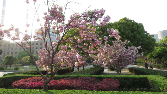 工厂绿化花坛