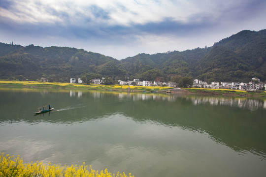 新安江山水画廊 油菜花 小船