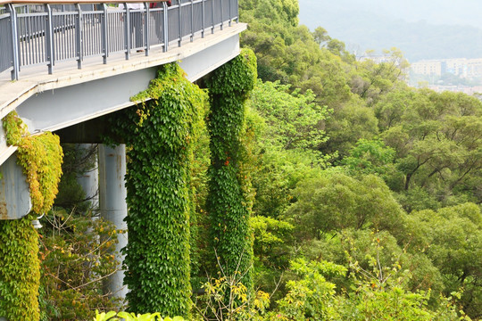 福州金鸡山公园