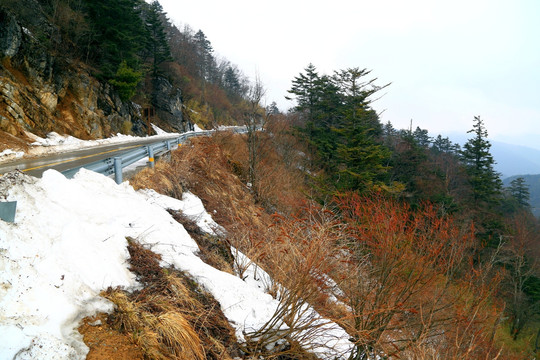 神农架 雪景