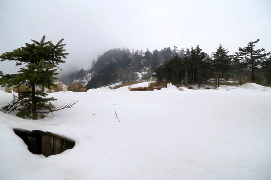 神农架 雪景