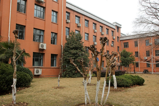 中国科技大学 校园