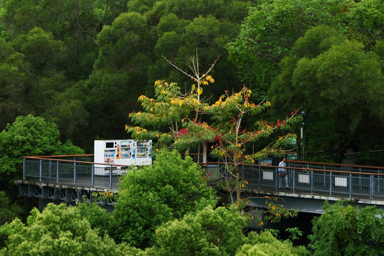 福州金鸡山公园