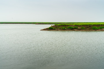 湖区湿地