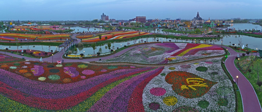 郁金香花海