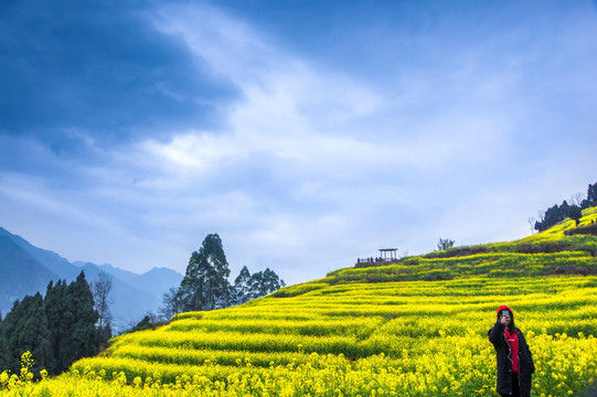 宜宾旅游