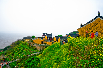 普陀山风景