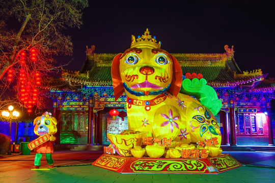 鞍山玉佛寺生肖狗夜景