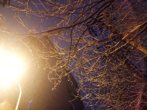 夜晚雪景