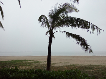 海边风景