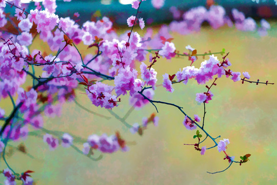 抽象梅花裝飾畫背景