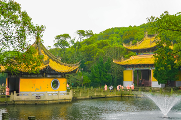 普陀山法雨寺