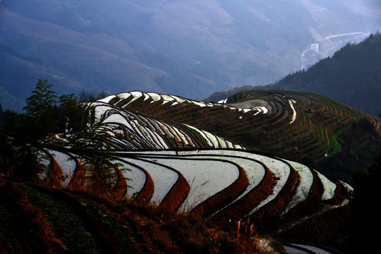 龙脊梯田