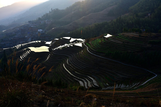 龙脊梯田