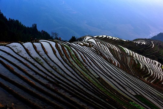 龙脊梯田