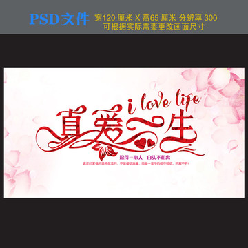 真愛一生海報