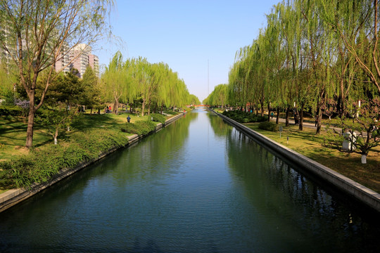 都市绿化 城市春天 北京绿化