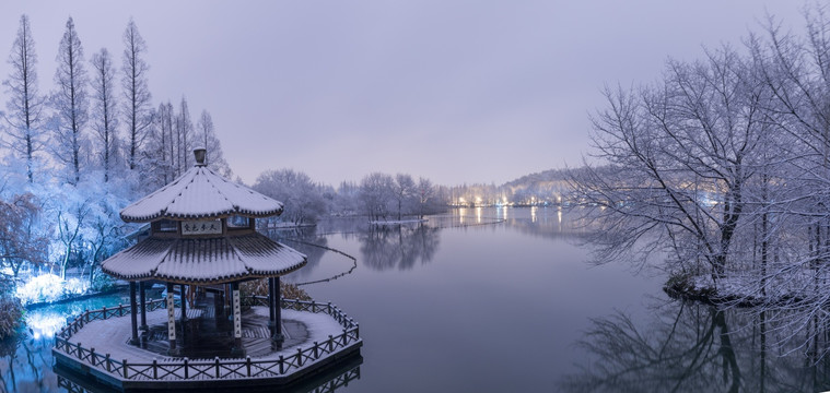 杭州黛色参天雪景