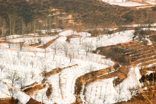 田園雪景