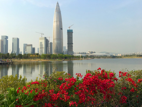 深圳人才公园 深圳湾滨海风景