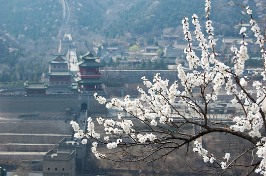 春到居庸关