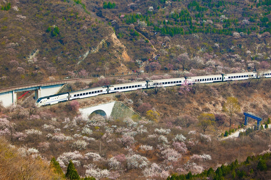 花海列车