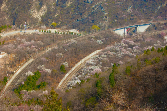 春天的山野