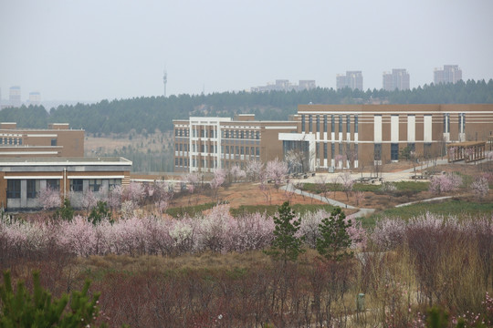 鄂尔多斯职业学院