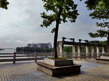 海口海滨公园风景