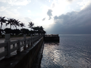 海南海口世纪公园风景