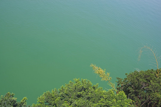 绿色水面