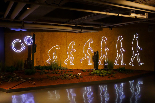 装饰灯 人类进化图