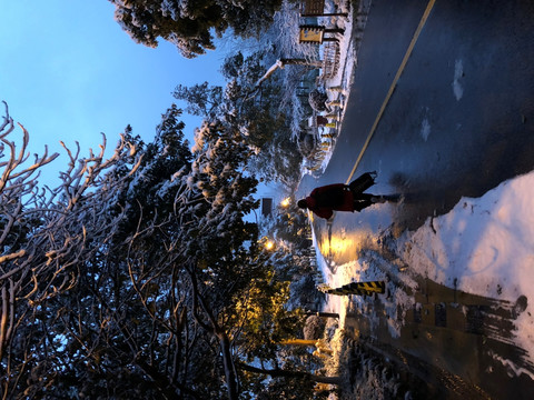 杭州雪景