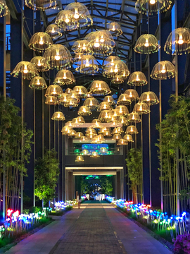 京杭大运河夜景