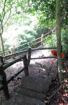 火山口风景