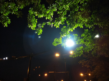 夜景树叶