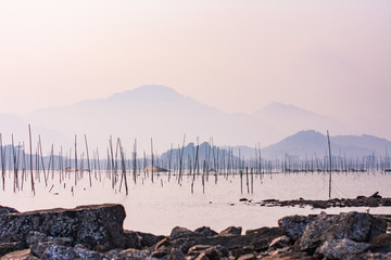 海边景色