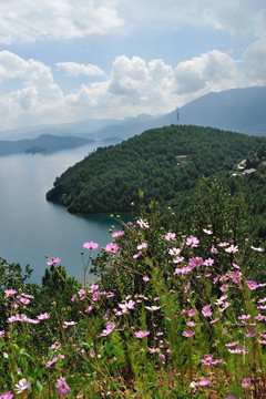 泸沽湖