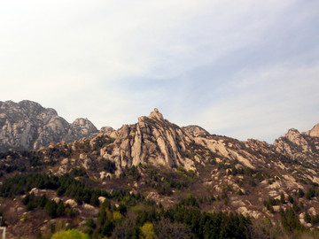 北京凤凰岭 山石