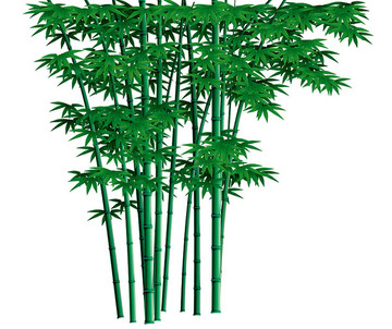 竹林