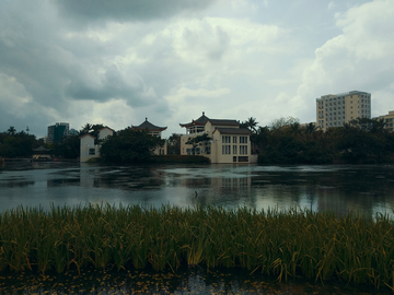 湖畔风景 海南海口