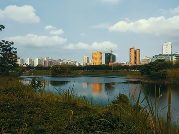 湖畔风景 海南海口逍遥湖