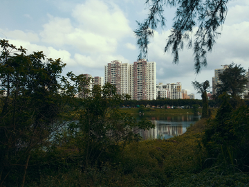 湖畔风景 海口逍遥湖