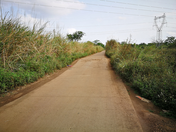 乡村道路