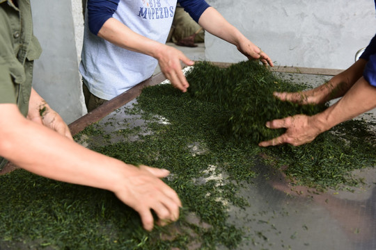 传统文化炒茶茶叶